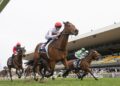 Freedmans off to flyer in new season