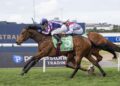 McEvoy makes amends with Bridge birthday gift