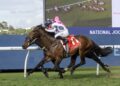 Steel Strike launches new season with Rosehill win