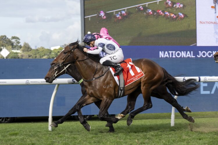 Tim Clark aboard Steel Strike after the Waterhouse and Bott-trained gelding surged home to win at Rosehill on the opening day of the new racing season. [Bradley Photos]