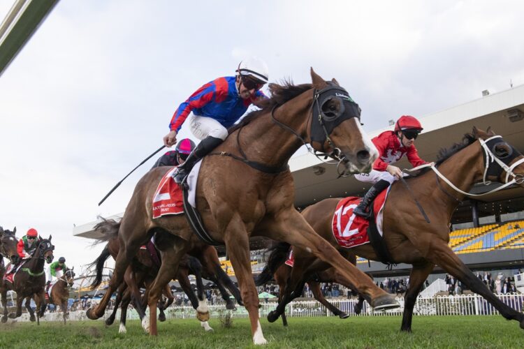 Nash Rawiller drives Run Harry Run to a tough victory for Lindsay Park at Rosehill, completing a riding double on the opening day of the new season. [Bradley Photos]