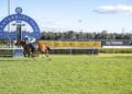 Smith to raise the bar with emerging stayer Aethelwulf