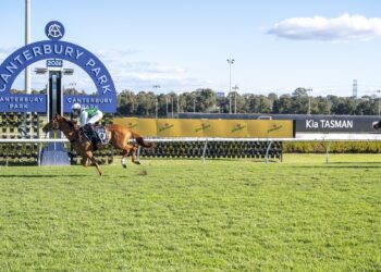 Smith to raise the bar with emerging stayer Aethelwulf