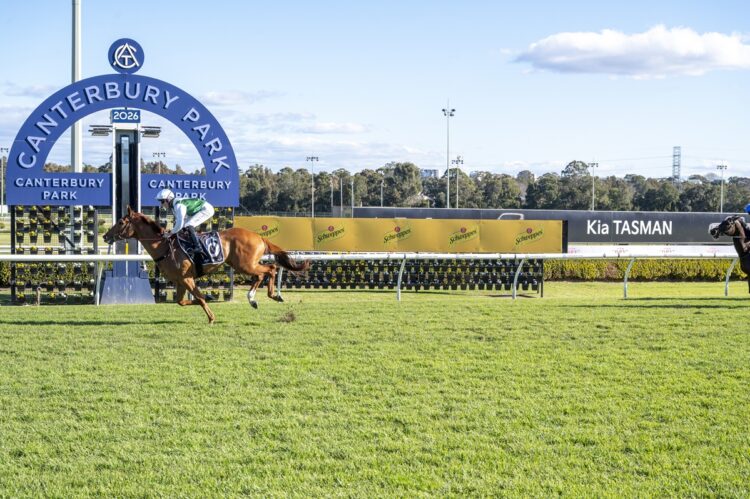 Aethelwulf powered to a dominant five-length win at Canterbury and will now step up to Saturday metropolitan company for trainer Matt Smith. [Bradley Photos]