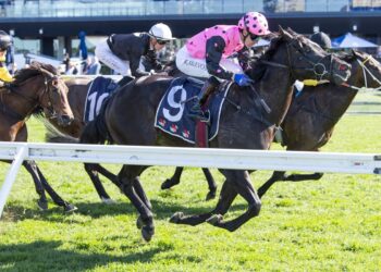 Melanite finds perfect passage to strike