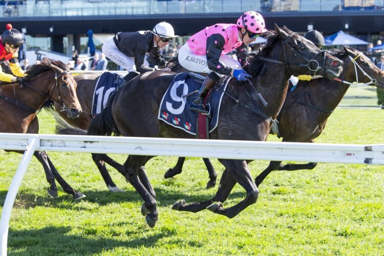 Melanite continued John Thompson’s strong start to the season with victory in the Midway Handicap at Randwick. [Bradley Photos]