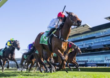 Ready To Rush defies injury battles to emerge as Kosciuszko hope