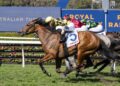 Messara keen to go again with improving Avista