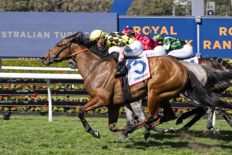 Avista and James McDonald combine for a last-stride victory at Randwick, extending the Paul Messara-trained mare’s winning streak to four. [Bradley Photos]