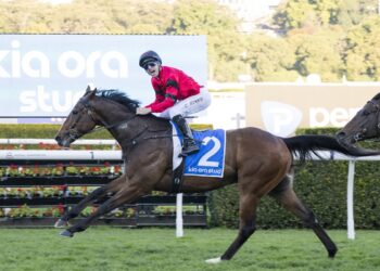 Ninja has emerged as an Everest contender for John Camilleri after making an early spring statement in the Missile Stakes. [Bradley Photos]