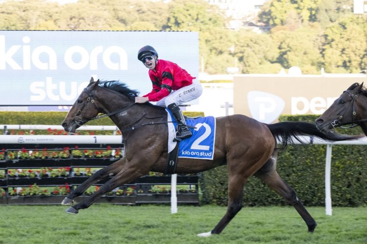 Ninja has emerged as an Everest contender for John Camilleri after making an early spring statement in the Missile Stakes. [Bradley Photos]