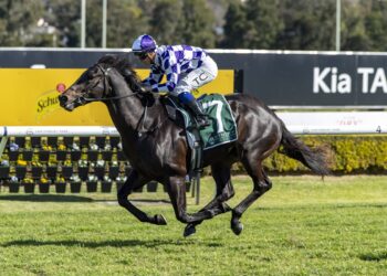 Bott unleashes untapped Savagram in Rosehill Stakes test