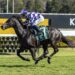 Bott unleashes untapped Savagram in Rosehill Stakes test