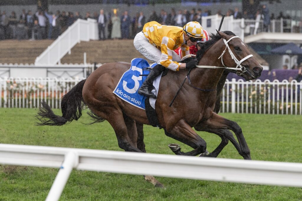 Chris Waller plots Coolmore Stud Stakes path for Steel Will