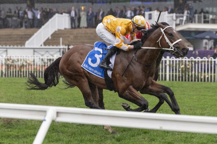 Steel Will and James McDonald fight their way to victory at Rosehill as Chris Waller plots a potential Coolmore Stud Stakes campaign. [Bradley Photos]
