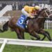 Chris Waller plots Coolmore Stud Stakes path for Steel Will