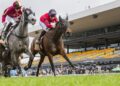 Widdup finally wins a close one in stewards’ room