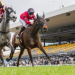Widdup finally wins a close one in stewards’ room