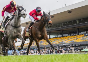 Widdup finally wins a close one in stewards’ room
