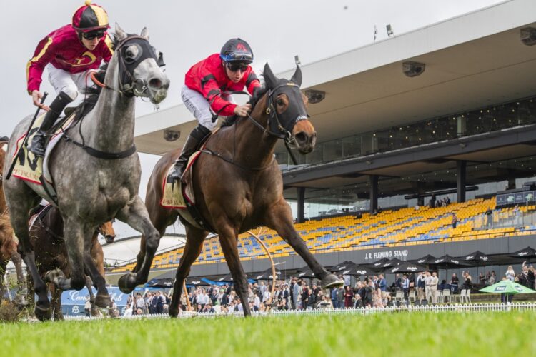 Mind Ya Bizz was awarded victory at Rosehill after Zac Lloyd successfully protested against Transcend. [Bradley Photos]