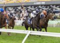 Polyglot puts smile back on Freedman’s face