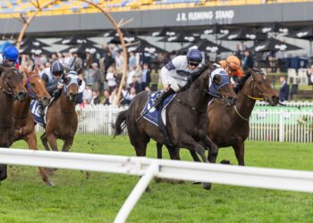Polyglot puts smile back on Freedman’s face