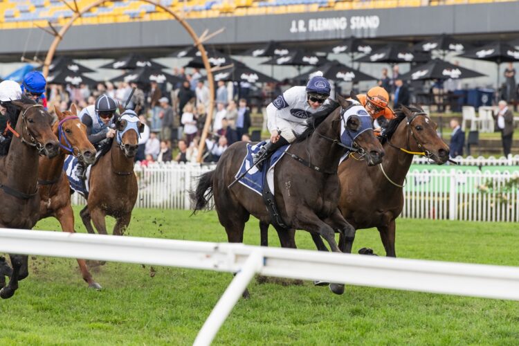 Polyglot gave Michael Freedman an immediate reason to smile with a tough victory at Rosehill. [Bradley Photos]