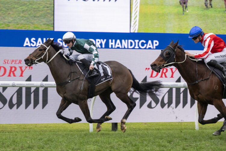 Zac Lloyd guided Eagle Express to victory at Rosehill for champion trainer Chris Waller. [Bradley Photos]