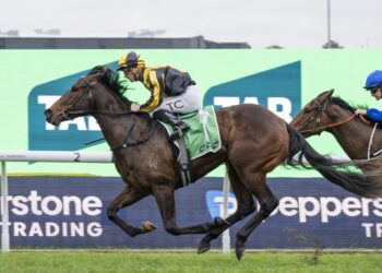 Chilly Girl makes stunning return to keep unbeaten record intact