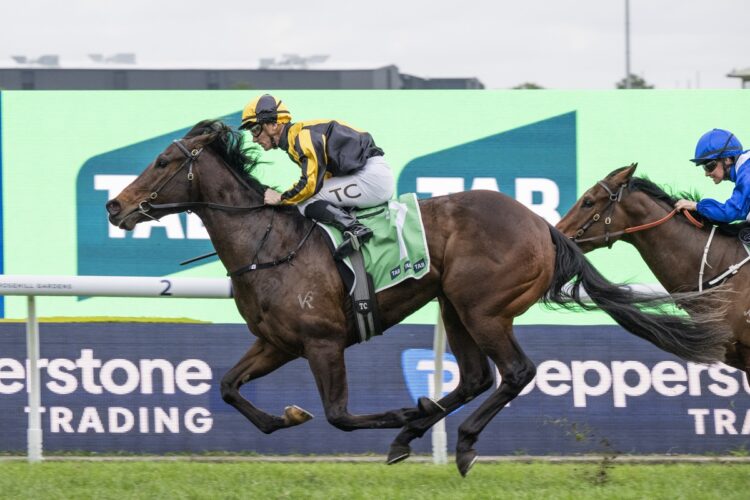 Chilly Girl maintained her unbeaten record with an impressive comeback victory in The Rosebud at Rosehill. [Bradley Photos]