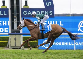 Epsom test looms as Waller searches for Althoff’s best trip