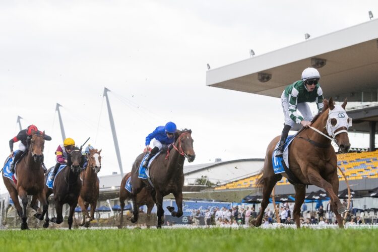 Shadhavar and Craig Williams combine to win the Regal Roller Stakes at Caulfield. [Bradley Photos]