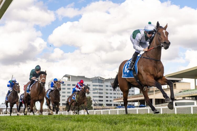Queen’s Gamble has earned a shot at the Tea Rose Stakes after an impressive maiden victory at Warwick Farm. [Bradley Photos]