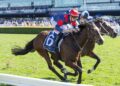 Tough mare Foire De Trone puts The Metropolitan on radar