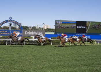 King Of The Sea makes waves with Caulfield Cup dream