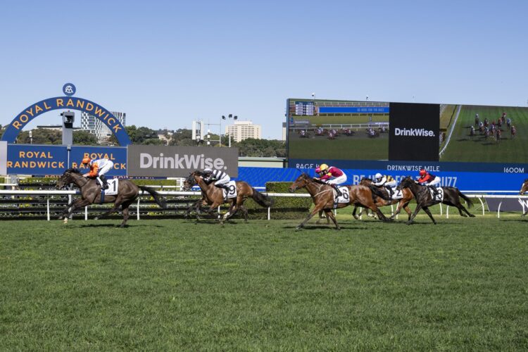 King Of The Sea has emerged as an exciting spring staying prospect after his dominant first-up win at Randwick. [Bradley Photos]