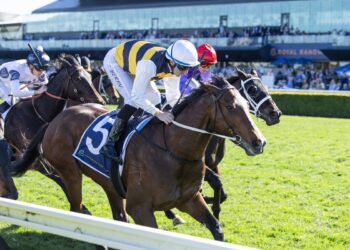 Boniface breaks through as spring carnival ambitions grow