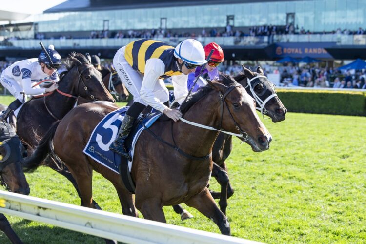 Boniface and Tommy Berry combine for an impressive victory in the Premier’s Cup at Royal Randwick. [Bradley Photos]