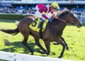 Prima Bella’s bold gamble pays off with Group 3 breakthrough
