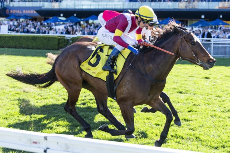 Prima Bella completes a hat-trick of wins with a tough Group 3 triumph in the Toy Show Quality at Randwick. [Bradley Photos]