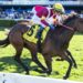 Prima Bella’s bold gamble pays off with Group 3 breakthrough