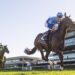 Pembrey puts The Everest in play after stunning Randwick blitz