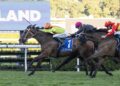 Pollard hits new high as Midnight In Tokyo strikes at Randwick