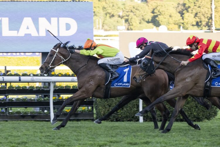 Midnight In Tokyo gives Todd Pollard his first Group victory with a memorable Show County Quality win at Randwick. [Bradley Photos]