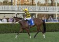 Autumn Glow smashes Winx Stakes clock in frightening return