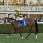 Autumn Glow smashes Winx Stakes clock in frightening return