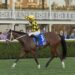 Autumn Glow smashes Winx Stakes clock in frightening return