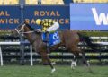 Autumn Glow smashes Winx Stakes clock in frightening return