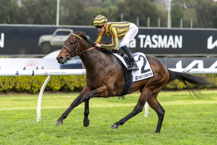 Tenenbaum stamped himself as a colt capable of tackling better races this spring with a dominant victory at Canterbury. [Bradley Photos]