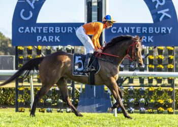 Nash’s daring tactics pay off